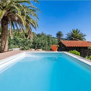  Сasa de vacaciones Palmeras